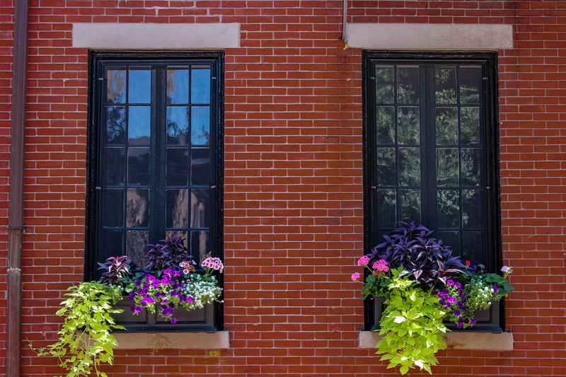 Wall Planters